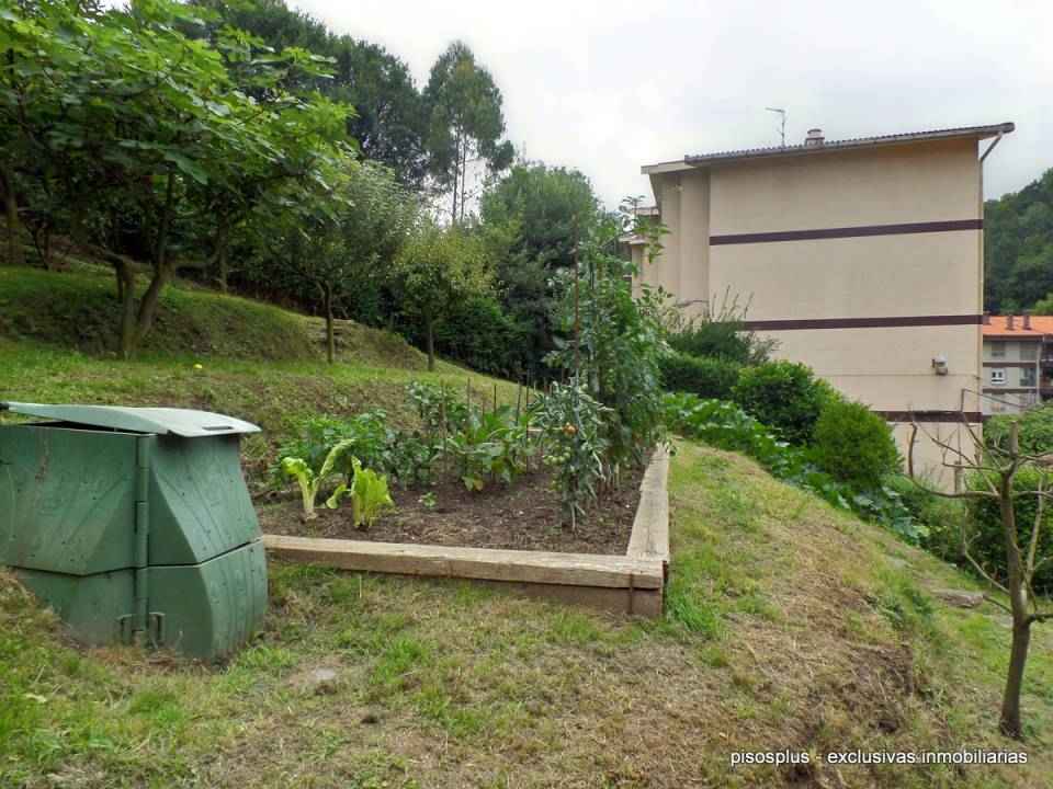 Jardín