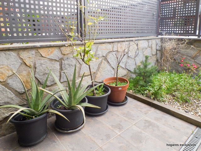 Terraza
